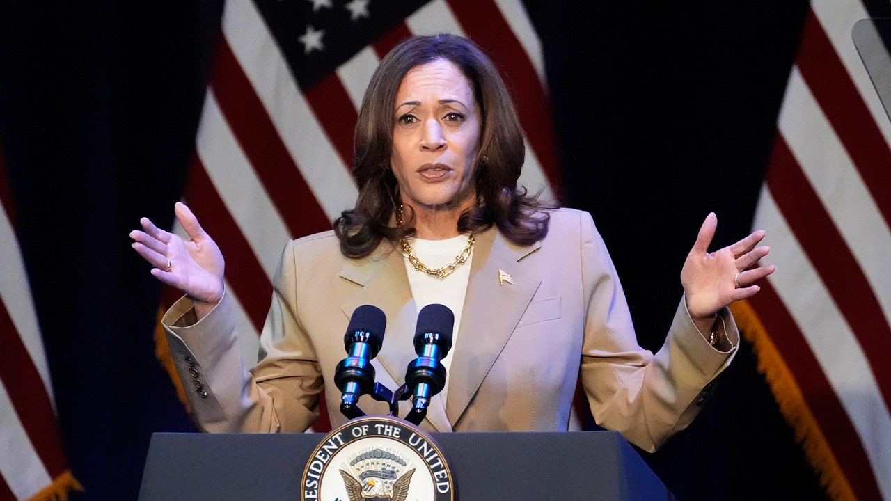 Harris’ momentum a reflection of Democrat ‘relief’ replacing Biden: GOP strategist