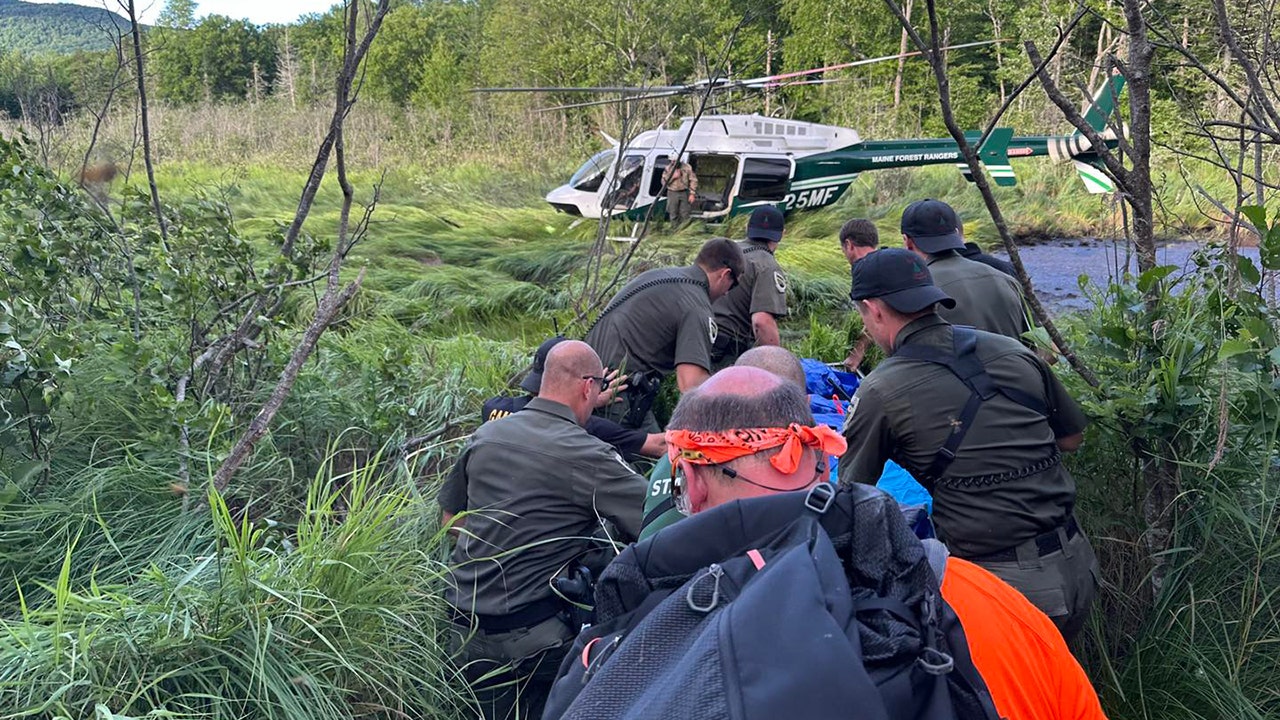 Missing 75-year-old man found in Maine bog after 4 days