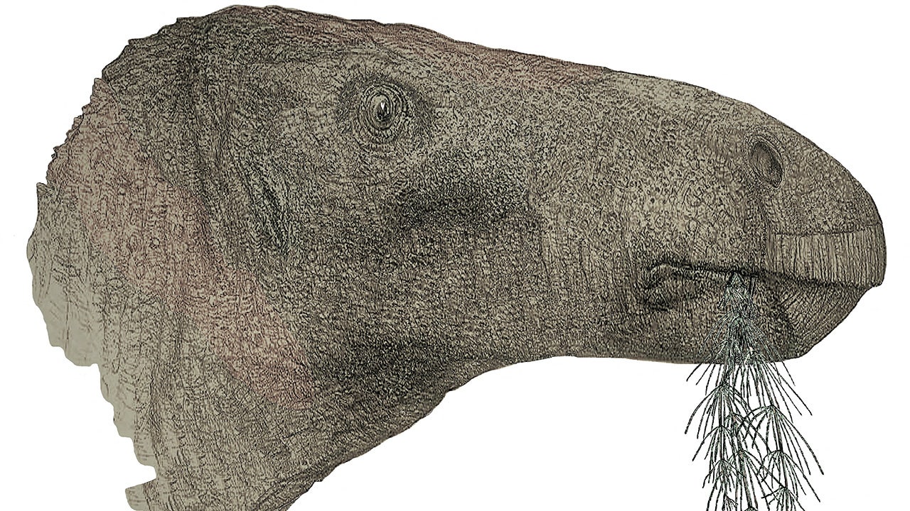 A descoberta de um novo tipo de dinossauro que viveu há 125 milhões de anos na Inglaterra