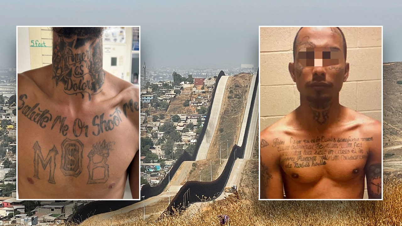 Border officials reveal which foreign gang they are making key ‘priority’ amid crimes in multiple states