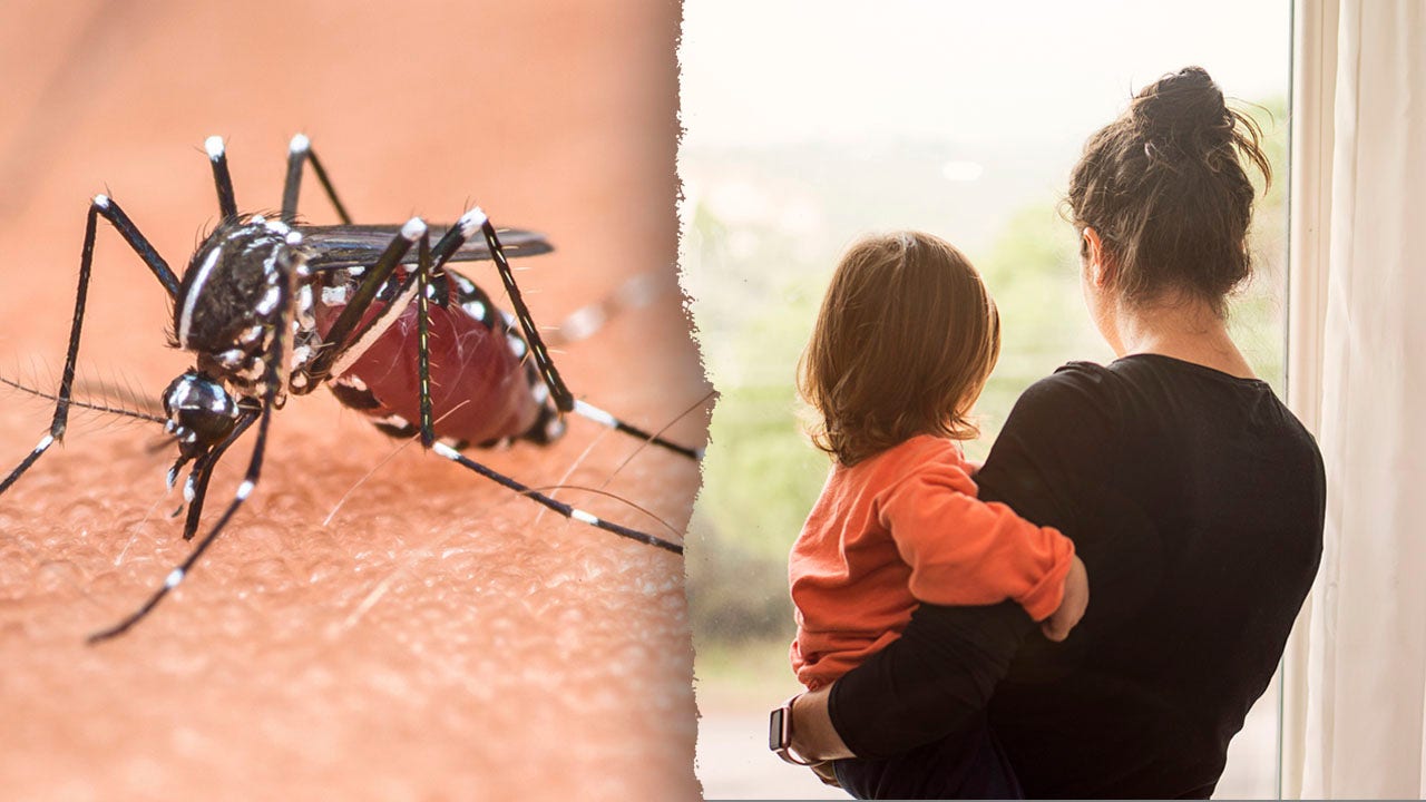 A rare, potentially deadly mosquito-borne disease has sparked concern, and led to some lockdowns, in the Northeastern U.S. (iStock)