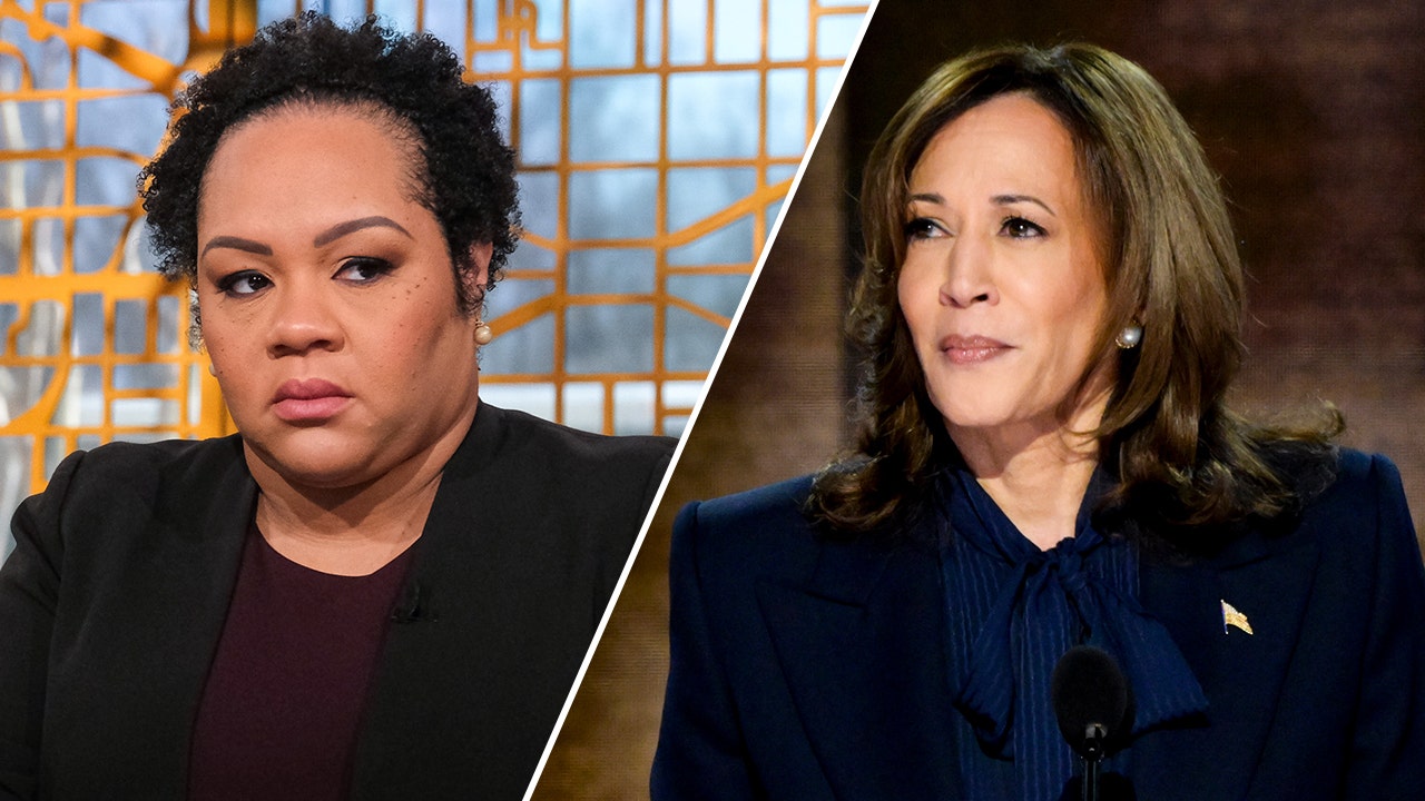 NBC reporter calls out Kamala Harris for saying her 'values haven't changed': 'Her positions have changed'