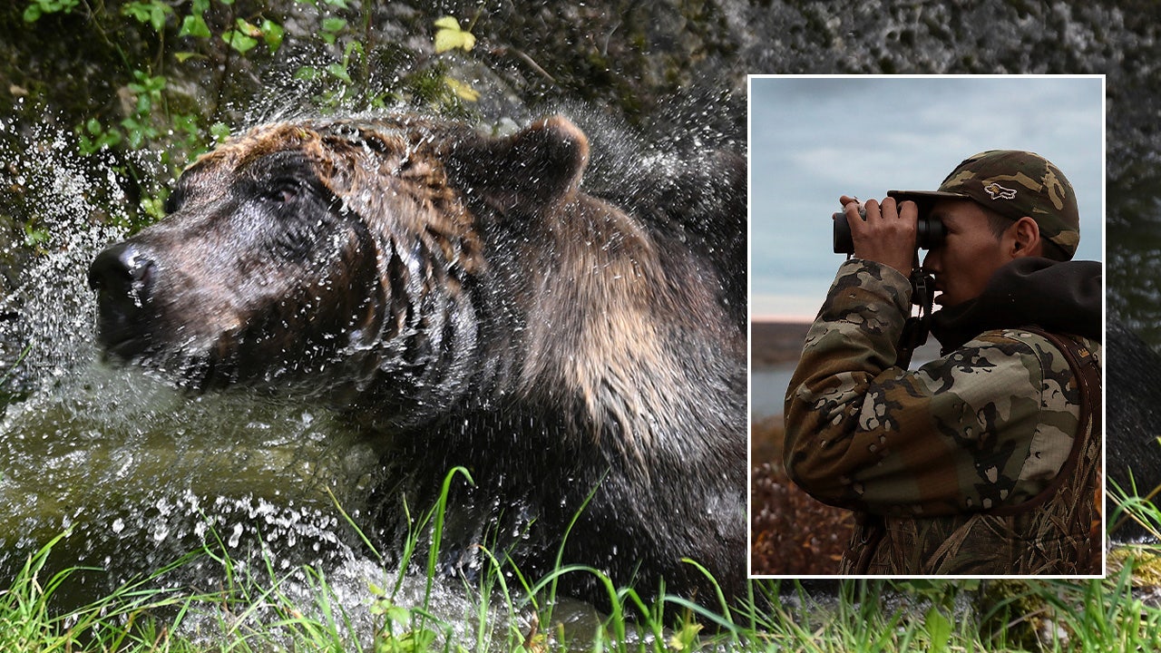 Brown bear attacks hunters in Alaska, leaving one with gunshot wound after ensuing tussle: state troopers