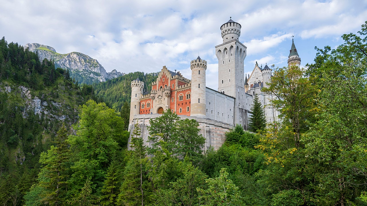 Report: Czech star gymnast dies after falling more than 60 metres from a mountain while trying to take a selfie