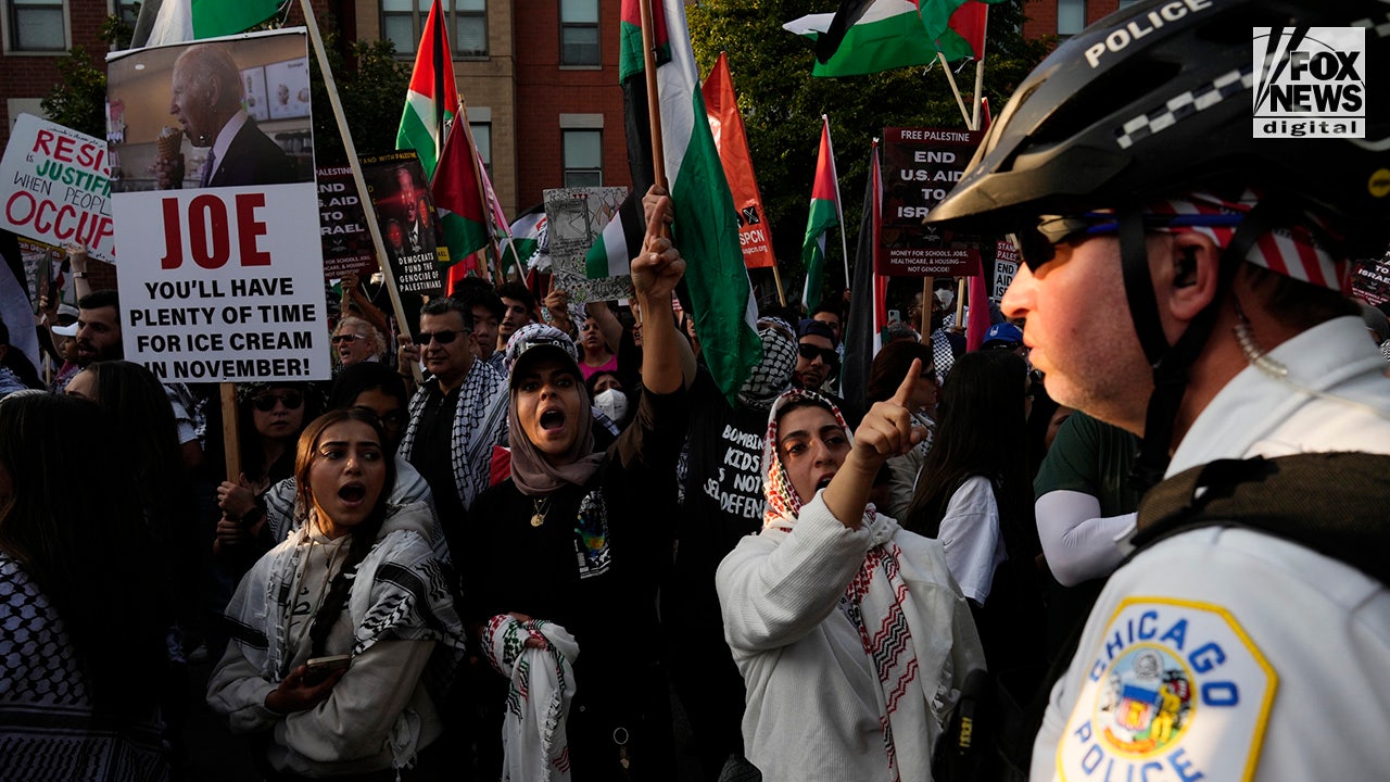 Anti-Israel demonstrations continue for third night near DNC