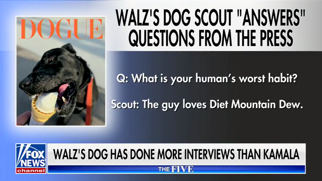 Tim Walz’s dog has done more interviews than VP Harris since she became nominee