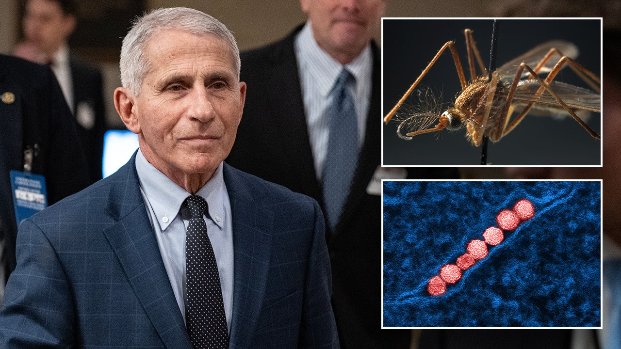 Former NIAID Director Dr. Anthony Fauci was hospitalized earlier this month with the West Nile virus and is now recovering at home, according to a report. (Drew Angerer/Getty Images, main, E. Jason Wambsgans/Chicago Tribune/Tribune News Service via Getty Images, top right, NIH-NIAID/IMAGE POINT FR/BSIP/Universal Images Group via Getty Images, bottom right.)