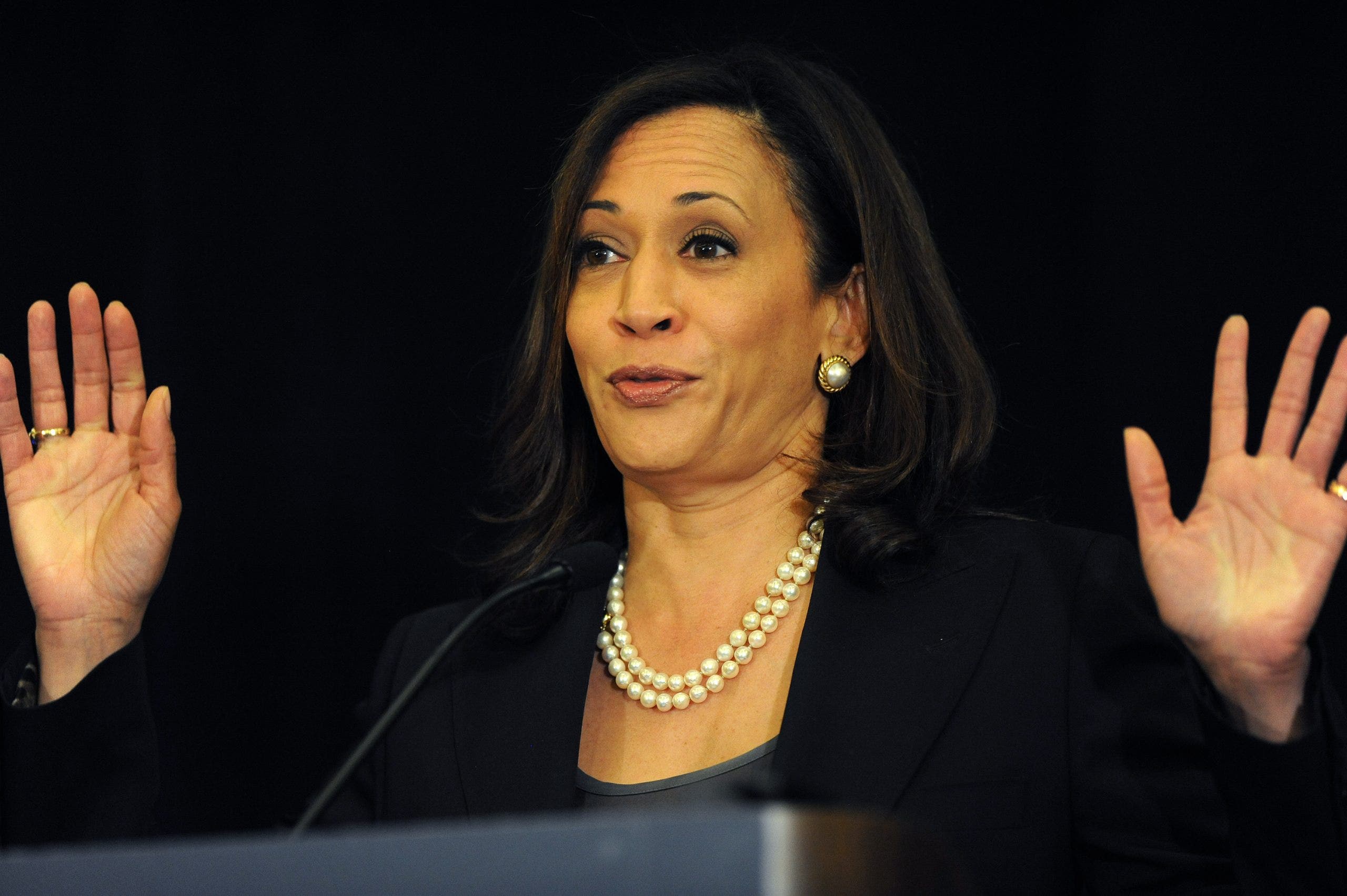 Kamala Harris’ $8 billion 'shoplifting industry' wrecked California