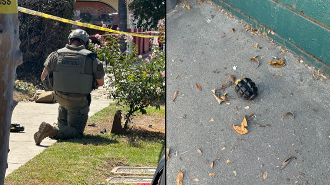 Californian gardener finds Russian grenades in bushes