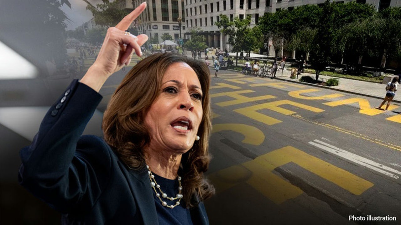 Kamala Harris donated to an anti-police and pro-sanctuary city group while DC struggled with crime