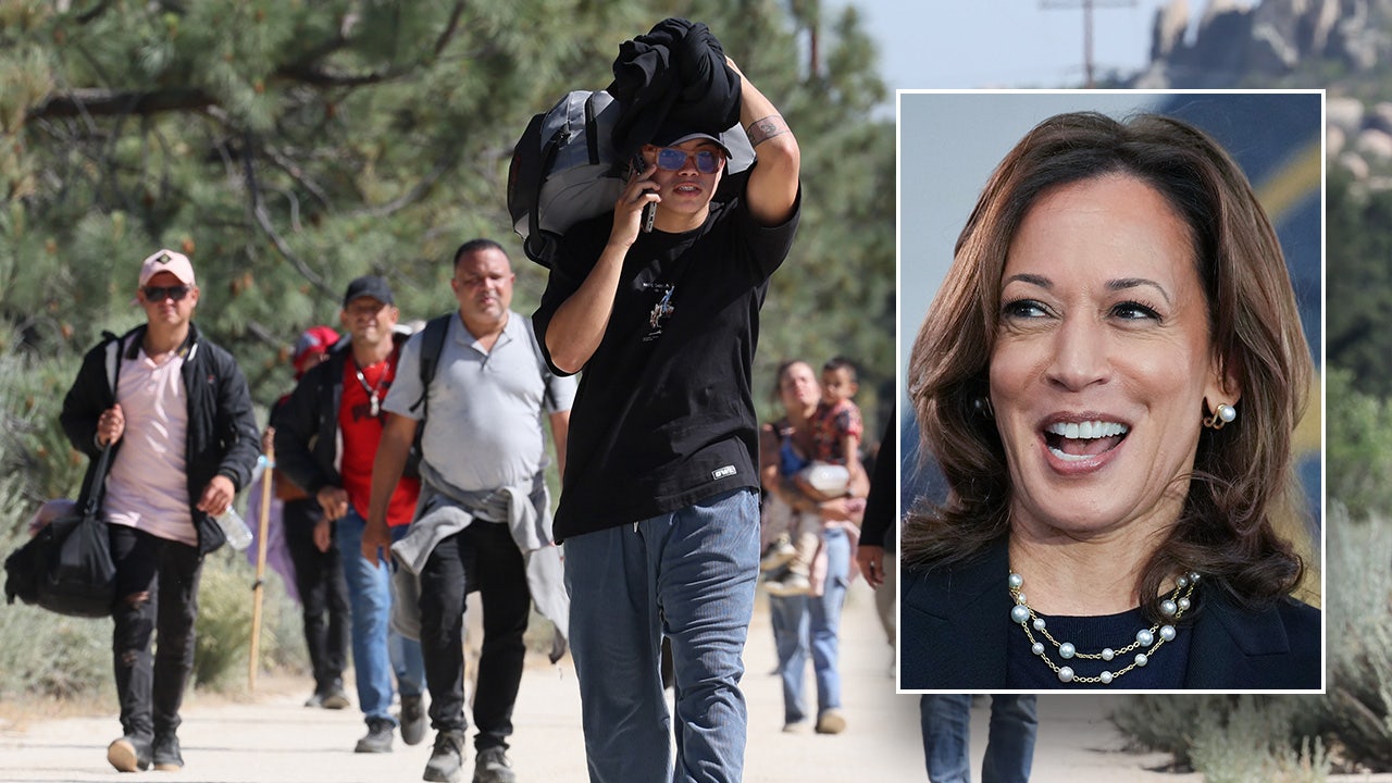 Kamala Harris led Dems in 2018 call to reject more funding for Border Patrol, ICE