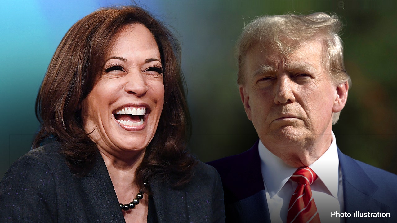 Trump Criticizes Harris's Economic Proposals