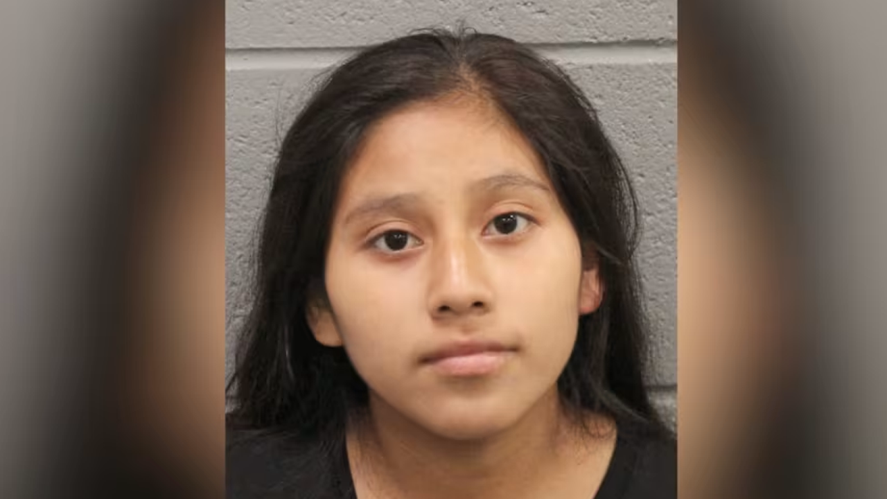 Woman in US illegally allegedly dumps newborn in Houston dumpster, claims she had ‘no choice’