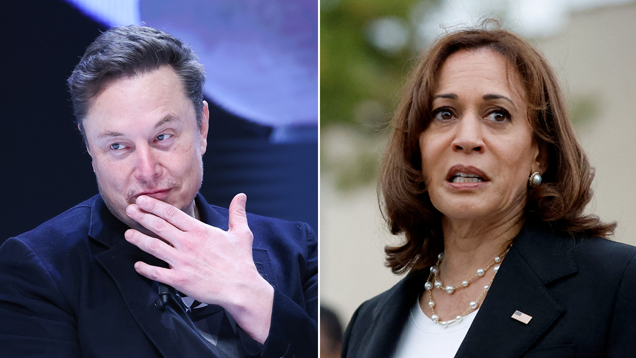 Elon Musk calls out VP Harris for old post saying illegal immigrants aren't criminals