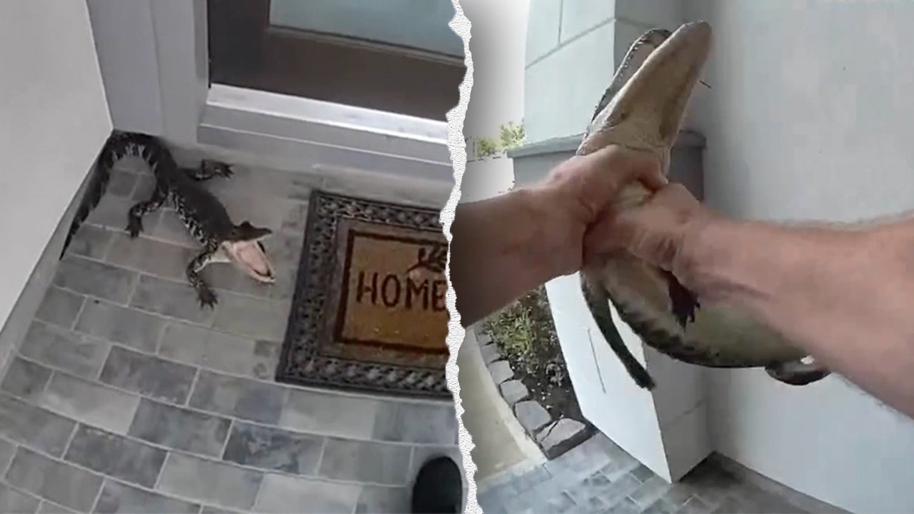 Texas cop wrangles live alligator on doorstep with bare hands caught on bodycam