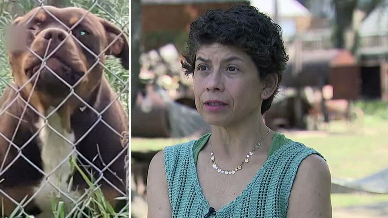 Texas family shoots pit bulls who attacked, killed their livestock