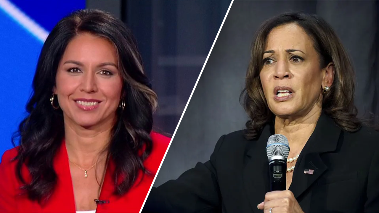 Kamala Harris is an ’empty suit’ and campaign handlers are worried, says Tulsi Gabbard