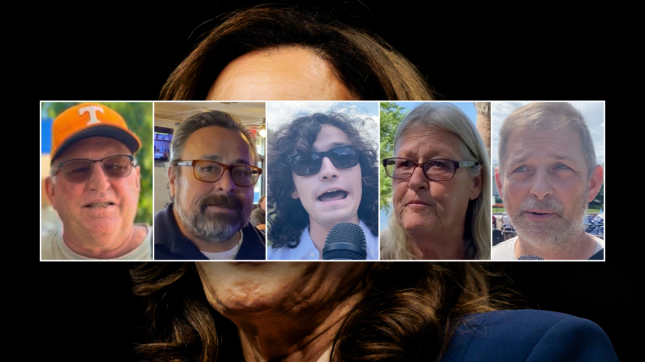 'GONNA HIDE IN THE BASEMENT': Americans balk at Kamala Harris ducking interviews on campaign trail