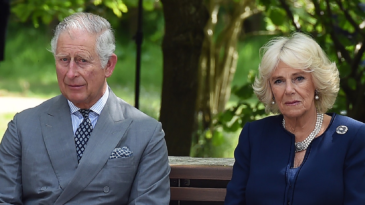 King Charles “overruled” Queen Camilla when she did not want him to reveal his health, says author