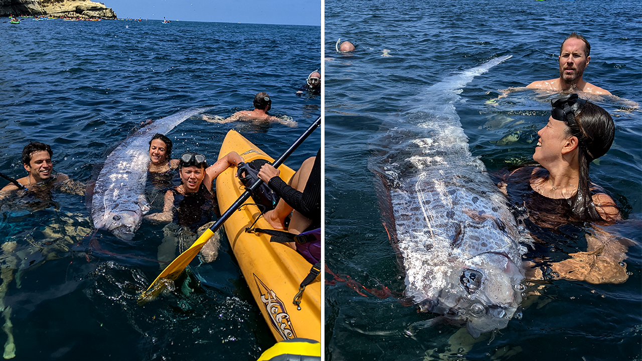 ‘Doomsday fish’ found dead in California days before earthquake struck Los Angeles