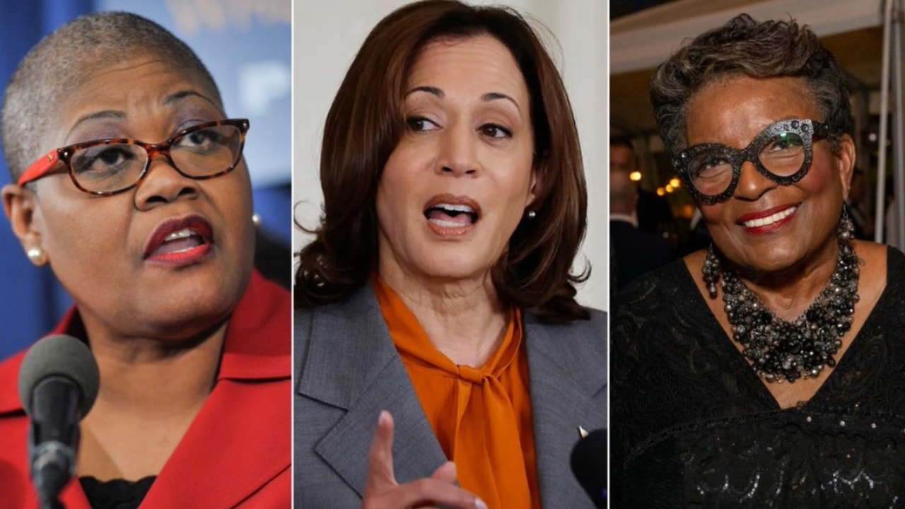 'F— the White women': Black activists tied to VP Harris could derail Dem 'unity' message with past rhetoric