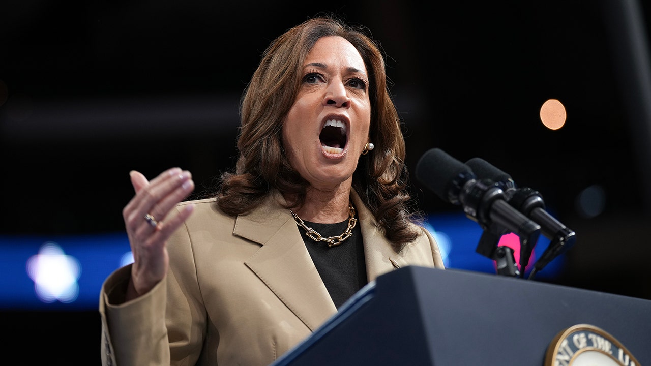 Harris addresses anti-Israel protesters at Arizona rally as crowd tries to drown them out with ‘USA!’ chants