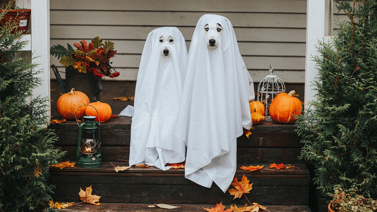 These 4 stores already have Halloween decorations on offer