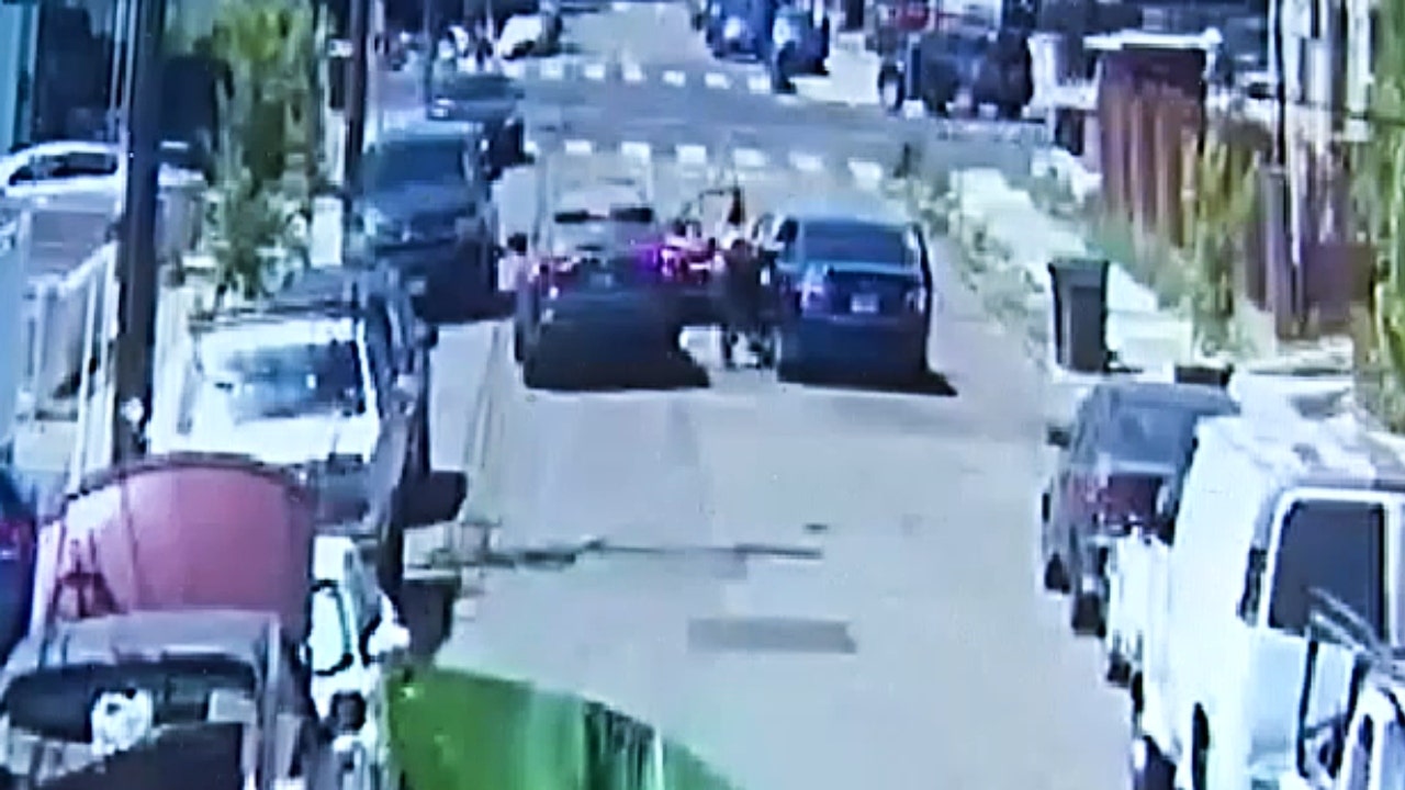 California mom of 8 fatally shot while protecting kids from drug dealers in harrowing footage