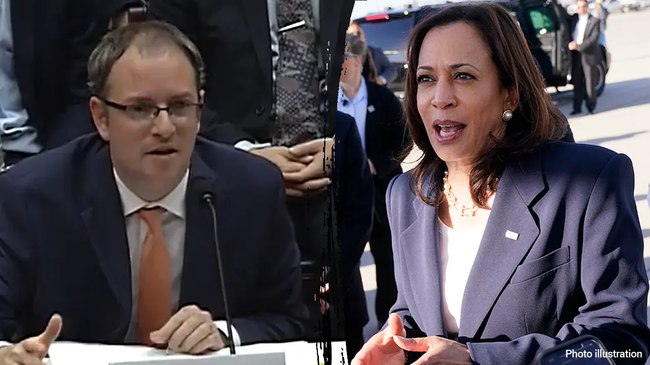 Kamala Harris’ choice of Jewish liaison director draws criticism over Israel, Iran stance: ‘Red flag’