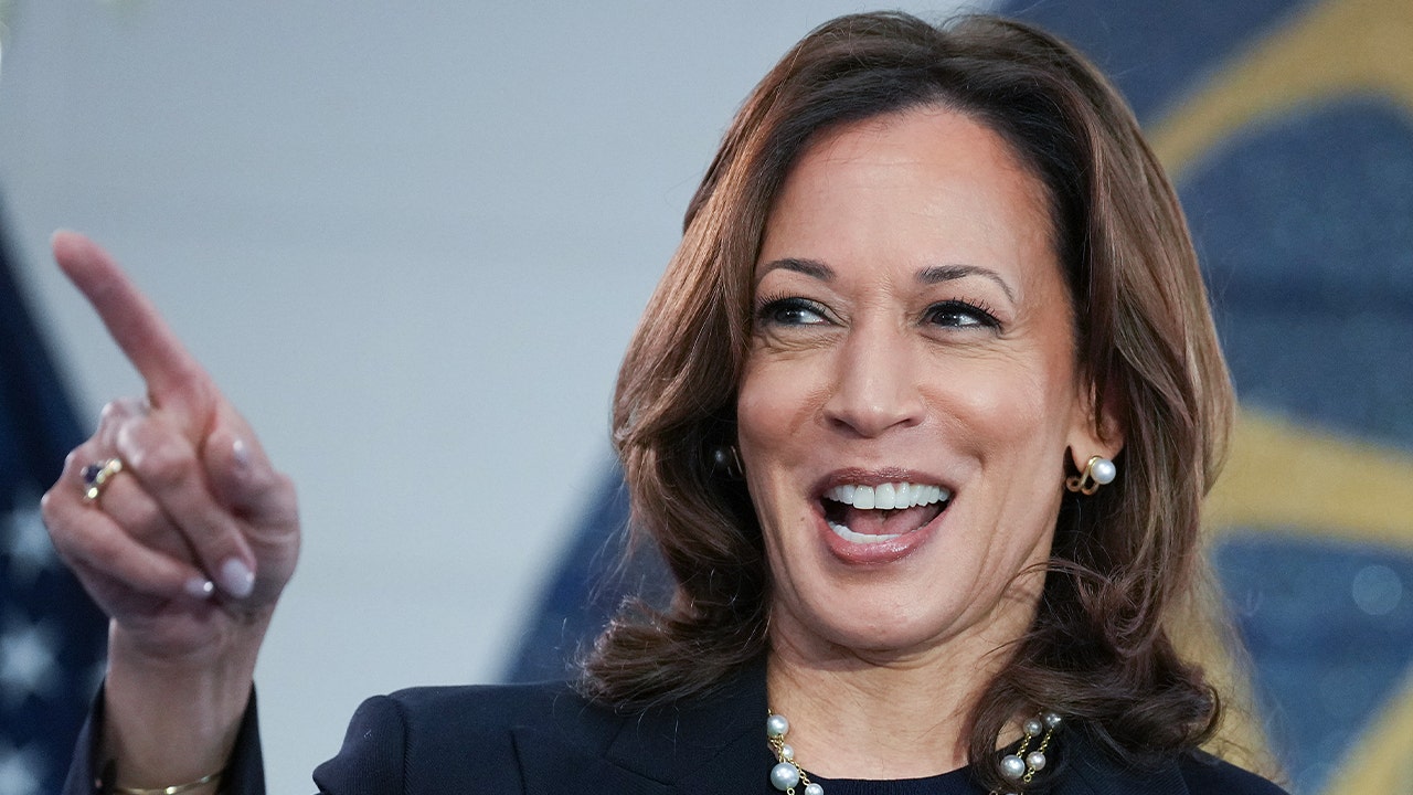 Harris dodging flip-flop attacks as faceless surrogates flip on key positions: ‘Playing politics’