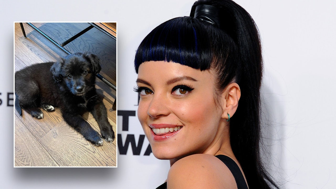 Lily Allen ridiculed for returning dog to animal shelter because 'she ate my passport'