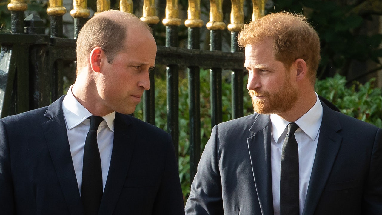 Prince Harry, Prince William avoid each other at uncle’s funeral as royal feud continues: report