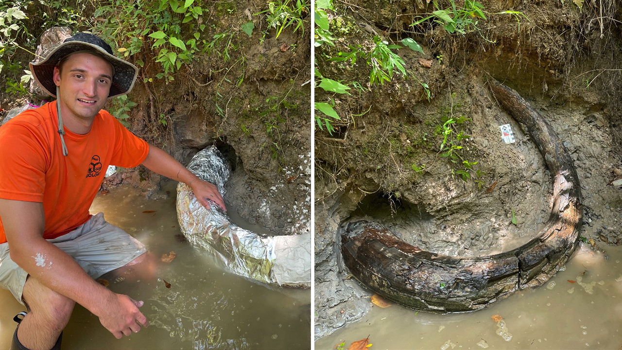 Eddie Templeton (pictured) found a portion of an Ice Age-era elephant tusk exposed in a steep embankment while exploring in Madison County, Mississippi. (Mississippi Department of Environmental Quality)