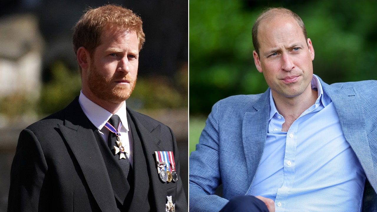 Prince Harry, Prince William Avoid Interaction at Funeral