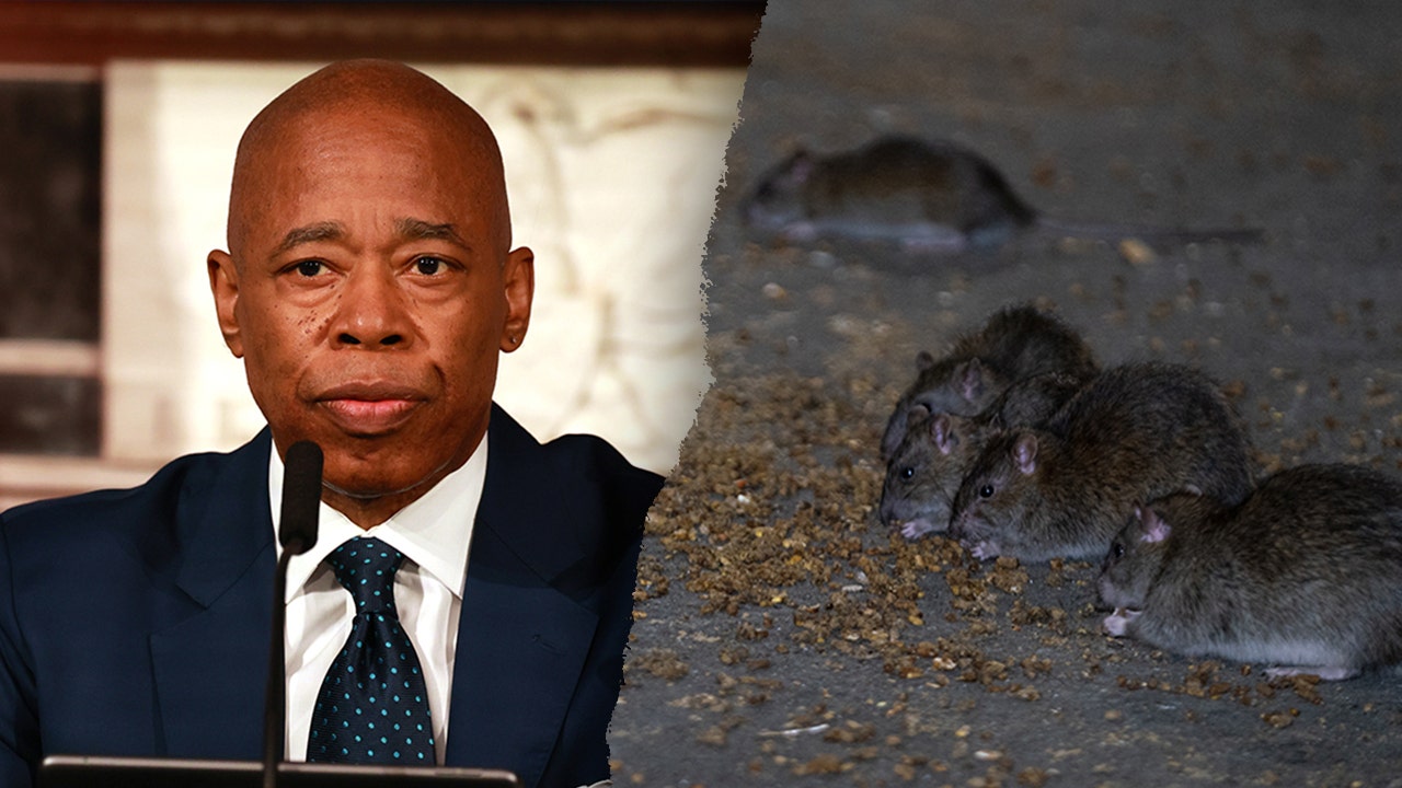 New York City hosts inaugural 'Urban Rat Summit' in hopes to combat ...