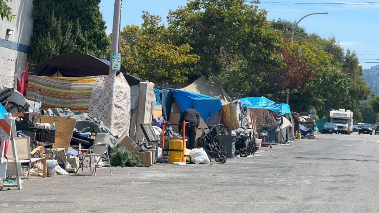 Berkeley businesses sue California city for not removing homeless encampments