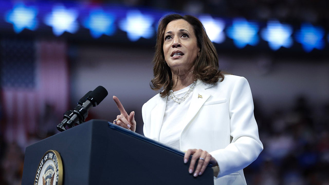 Political scientist warns Harris could lose important swing state: “Almost certainly won’t win” without