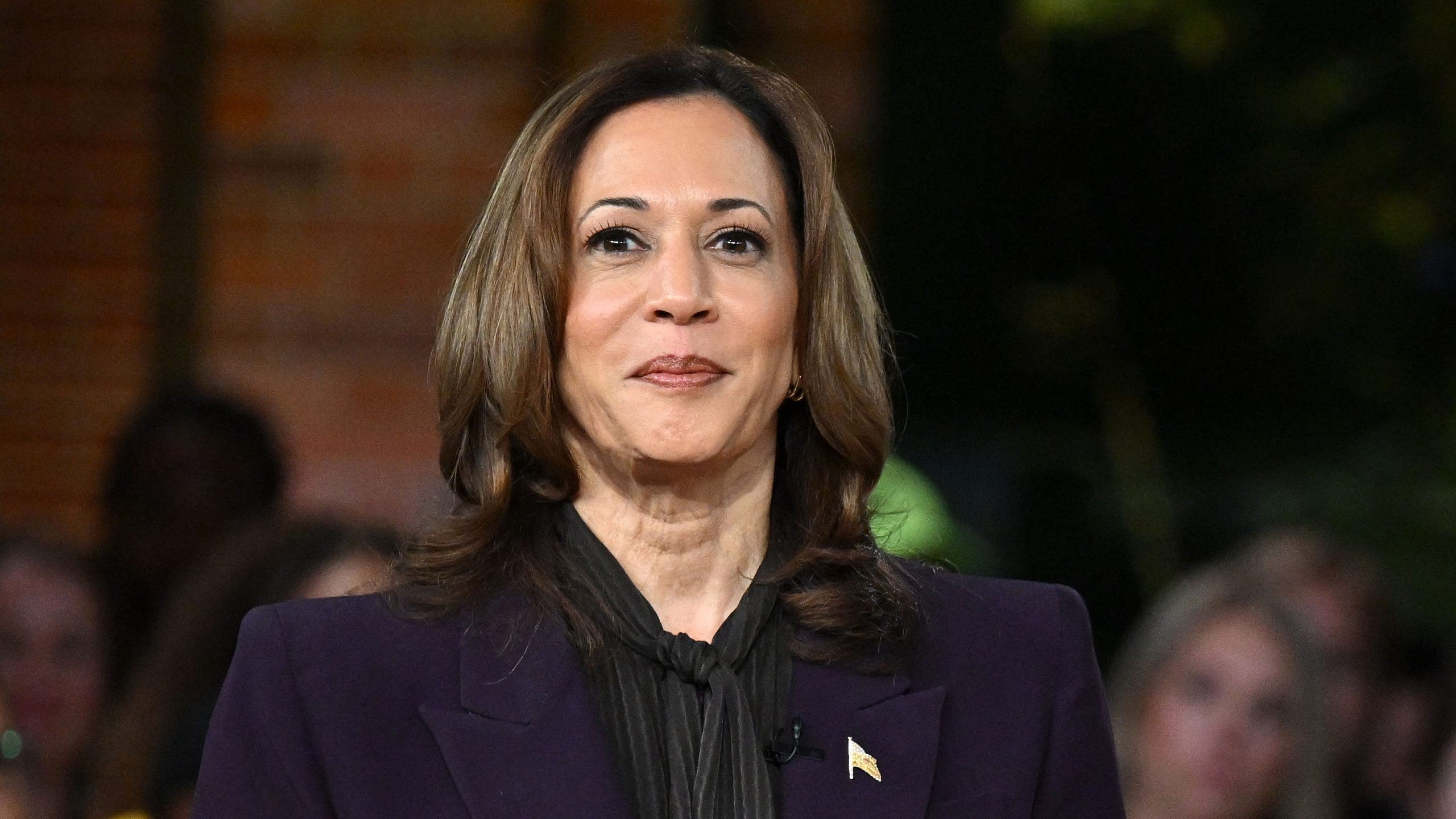 Kamala Harris featured on cover of Vogue in glowing profile: ‘National rescue’