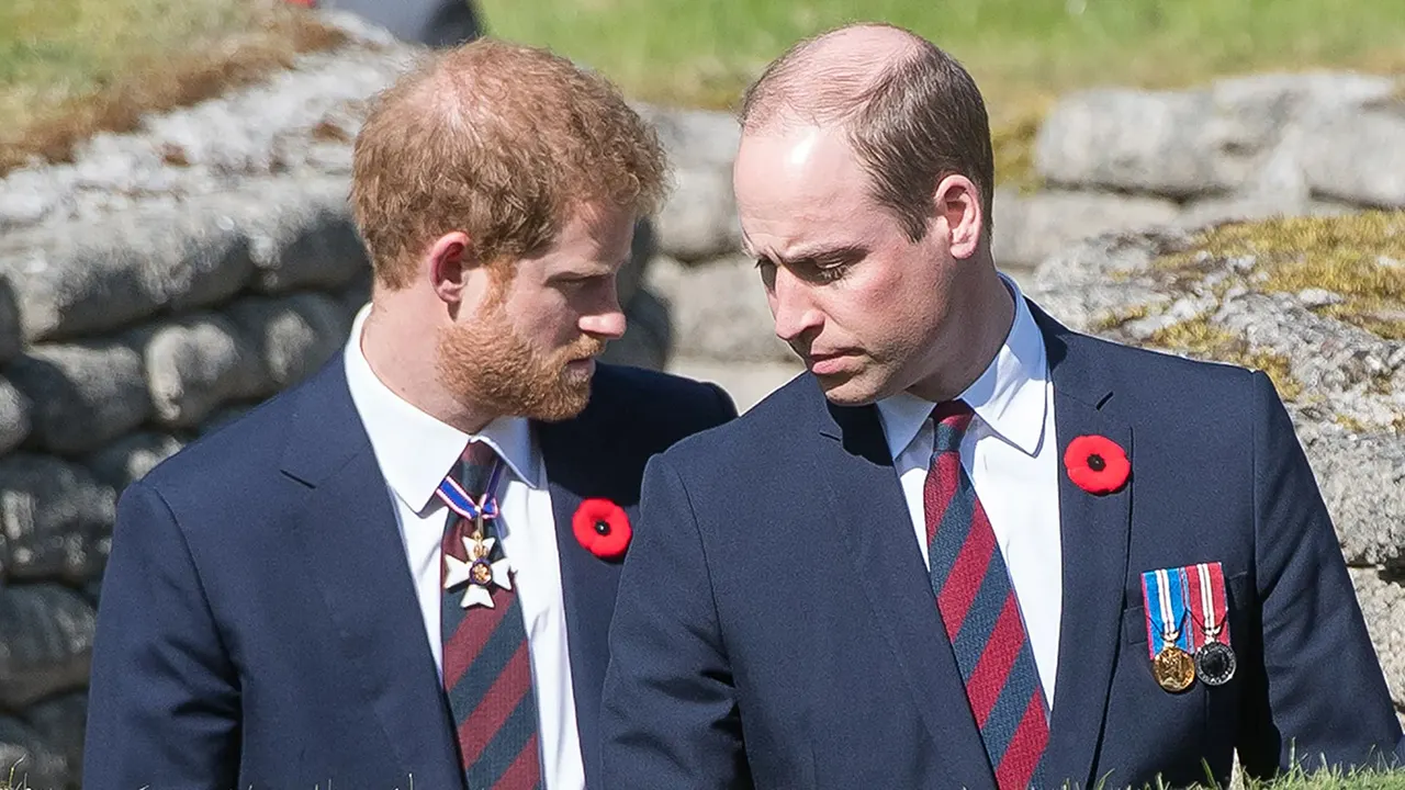 Prince William 'disgruntled' over Prince Harry's $8.5M inheritance payday on 40th birthday: expert