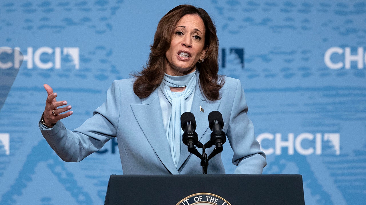 Harris campaign aide argues voters 'shouldn't read too much' into lack of interviews