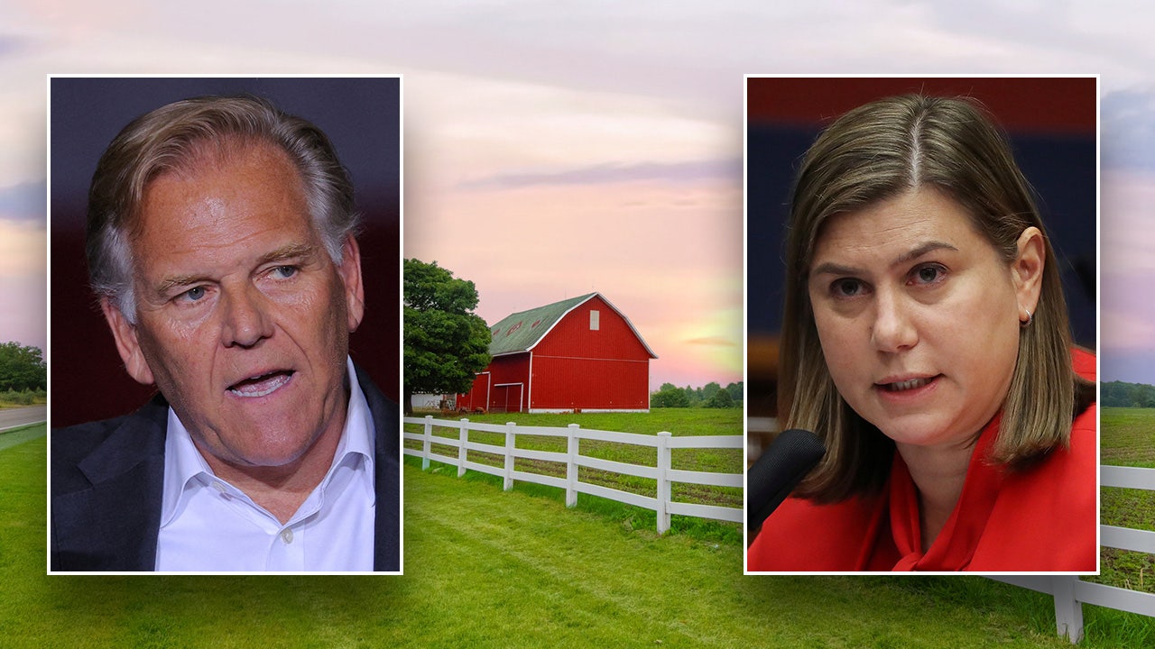 ‘Pretty damn significant’: Slotkin suffers setback in Michigan as agriculture department ditches Democrats to endorse GOP candidate