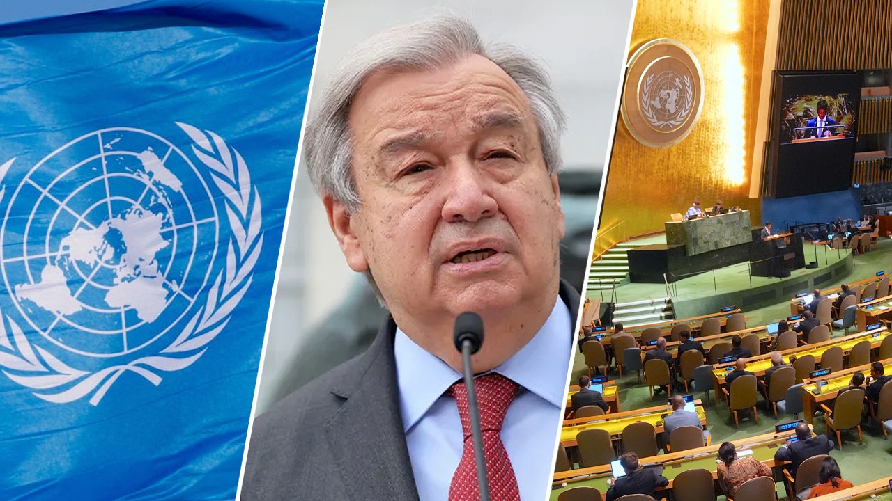 UN’s ‘Pact for the Future’ full of empty promises, will be ‘cudgel’ to attack the United States, expert warns