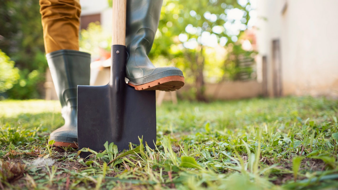 Mom and young son find strange object in garden, turns out to be 4,000-year-old ancient artifact