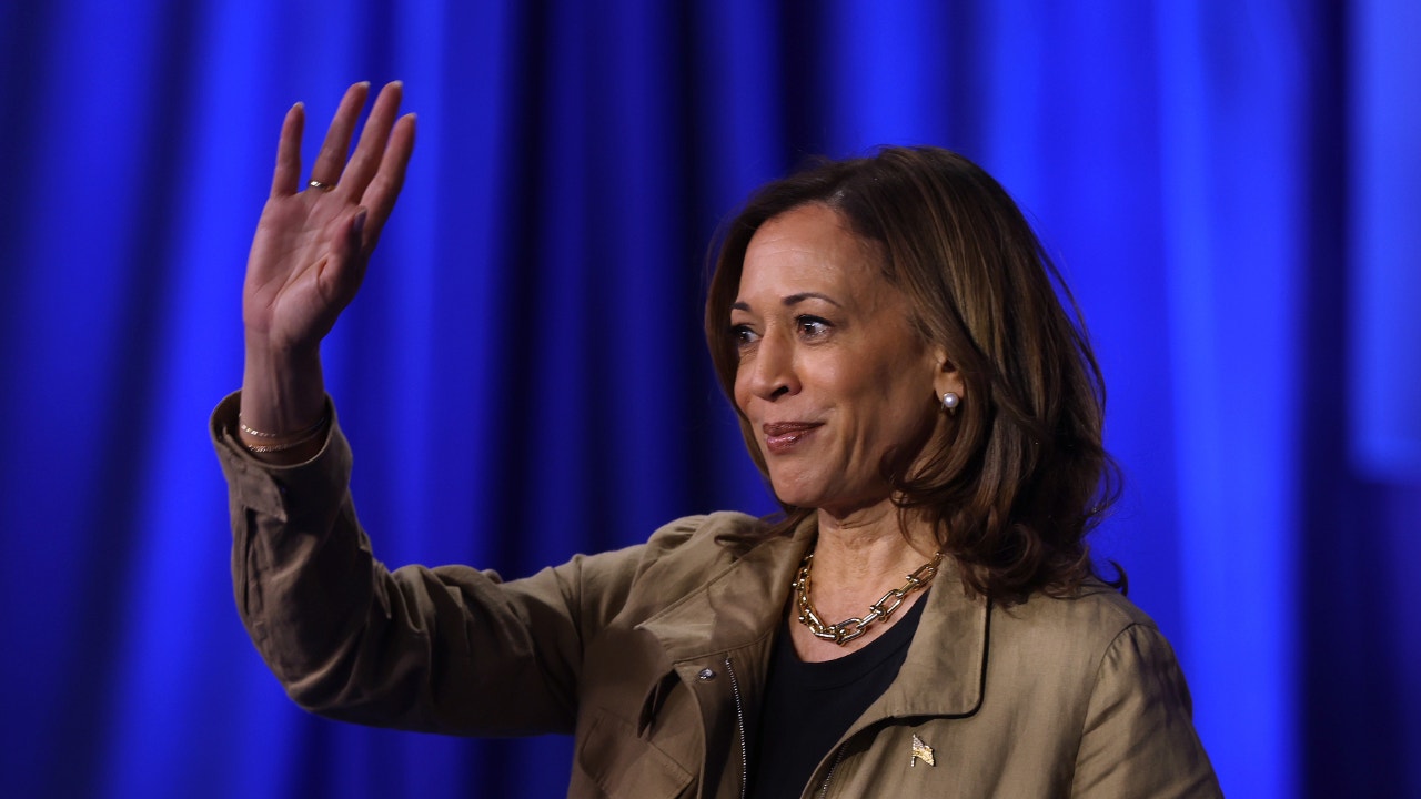 Democrats worry about Harris’ cautious media approach in tight 2024 race: ‘Voters deserve better’