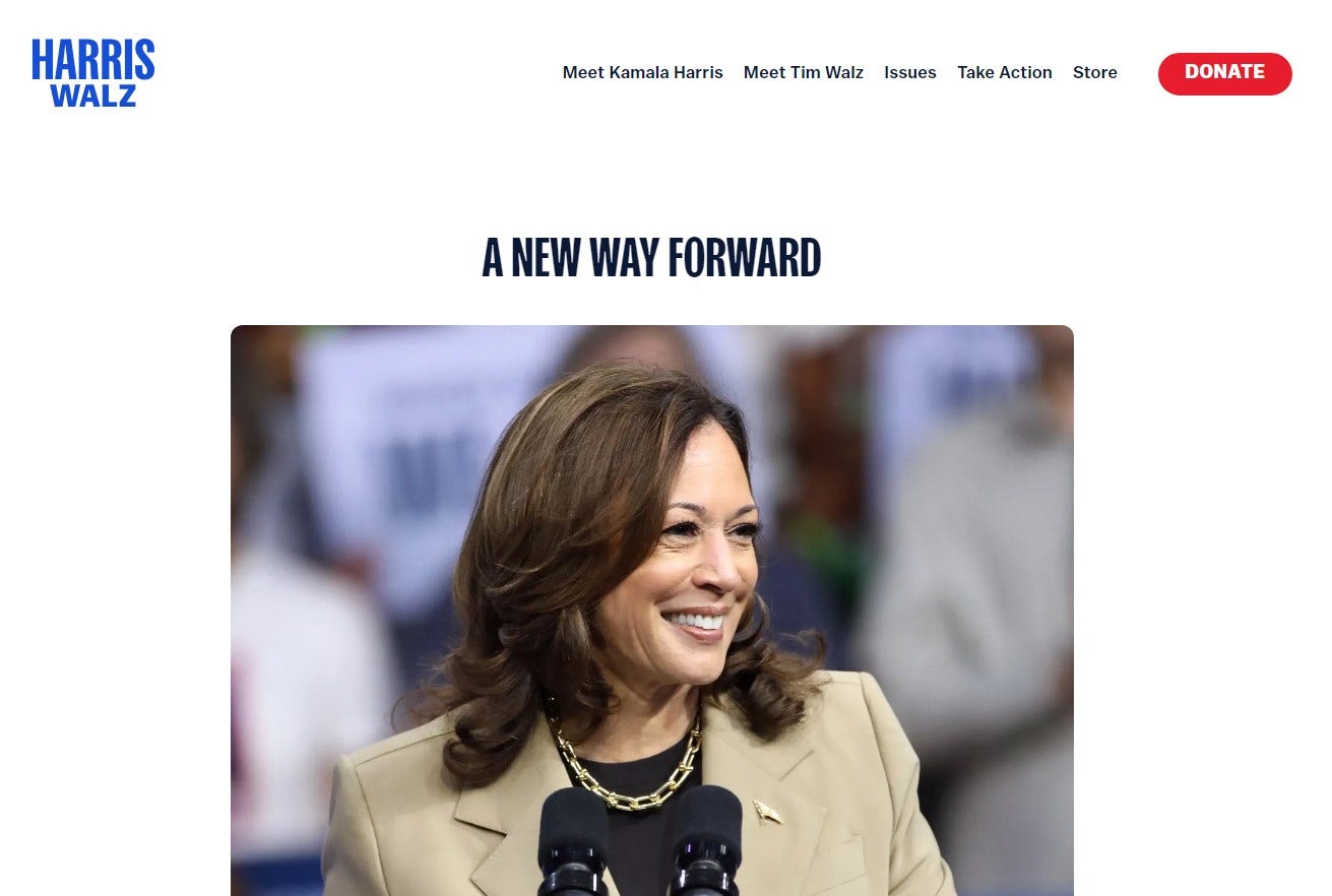 Harris camp’s new strategy page criticized for lacking details on border security