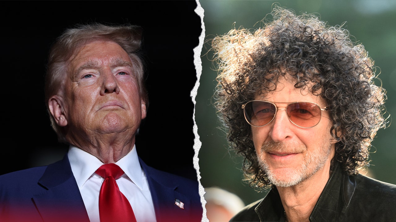 Howard Stern says he 'hates' anyone that votes for Trump: 'They are stupid, I have no respect for them'