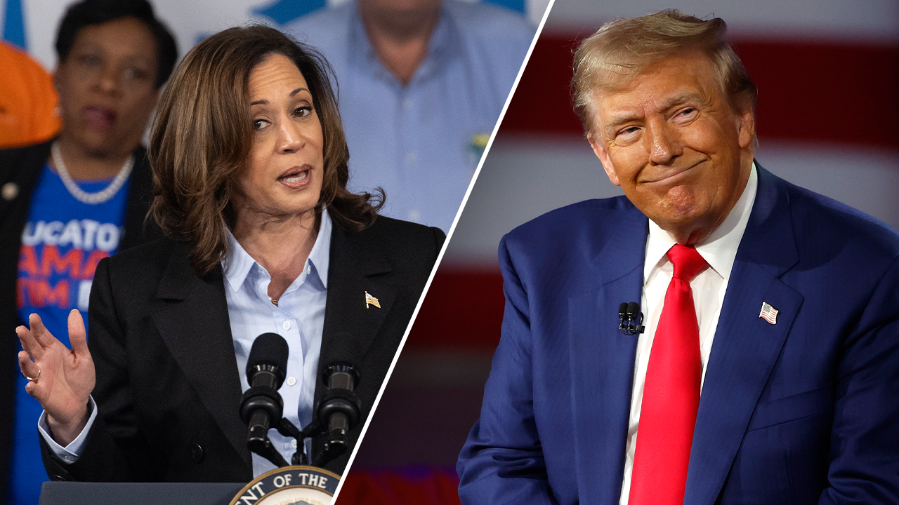 Voters report Kamala Harris is more radical than Trump: ‘too liberal or progressive’