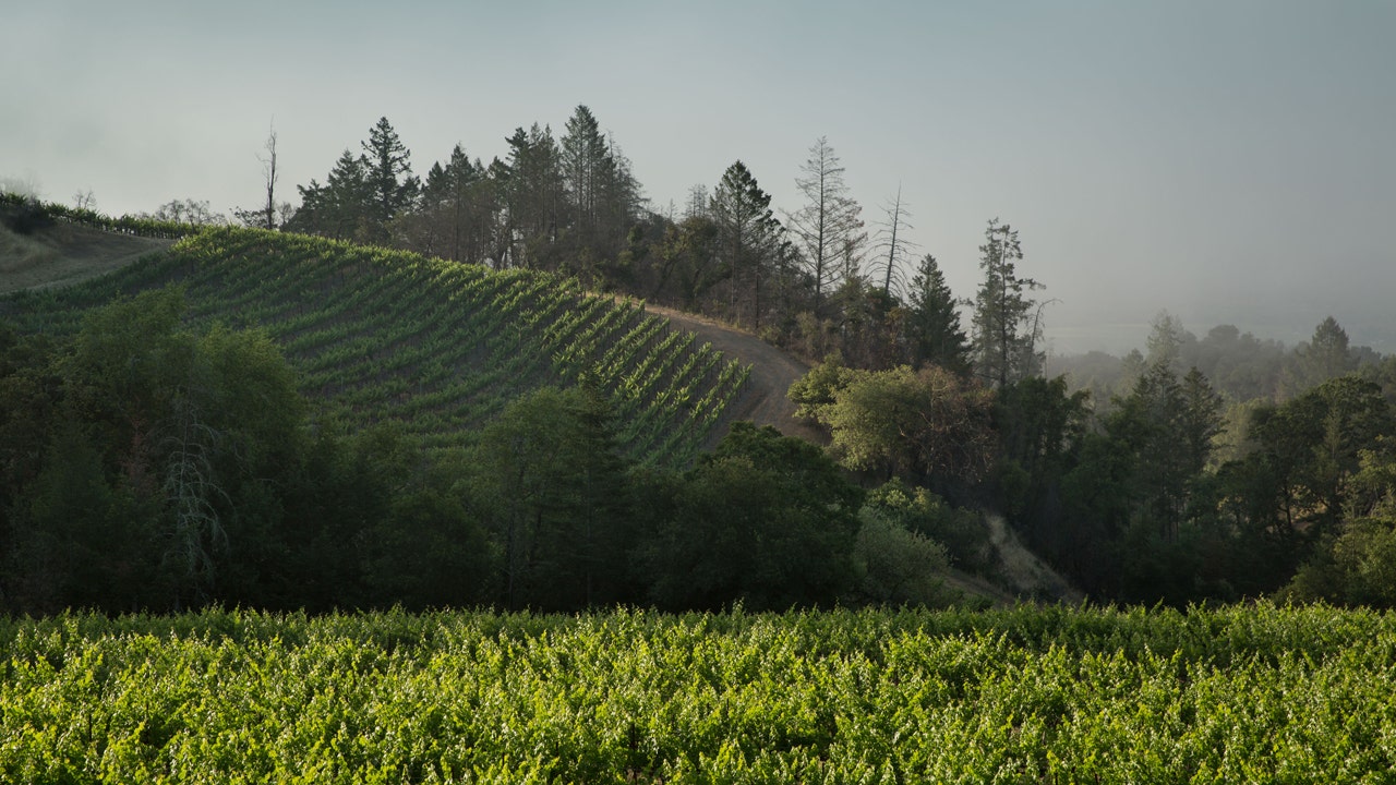 Discover California’s Hidden Gems: Explore Enchanting Wine Caves and Unique Winery Experiences!