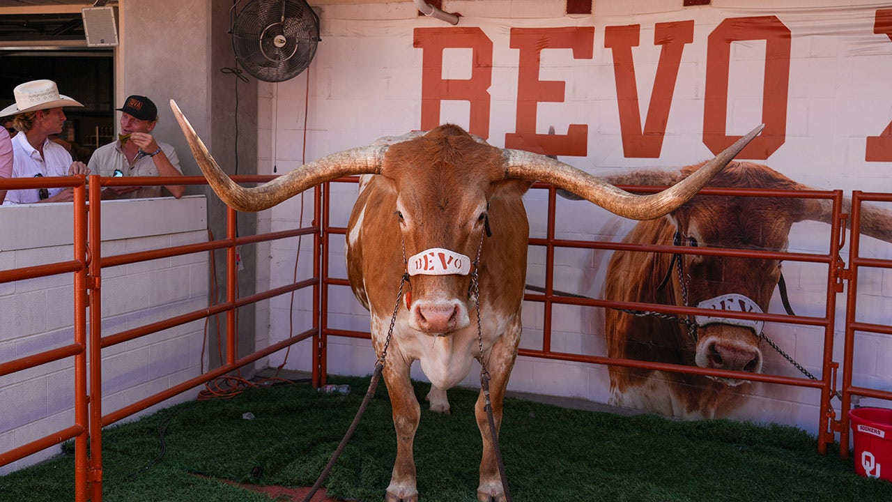 Texas Longhorns’ live mascot, Bevo, barred from SEC championship