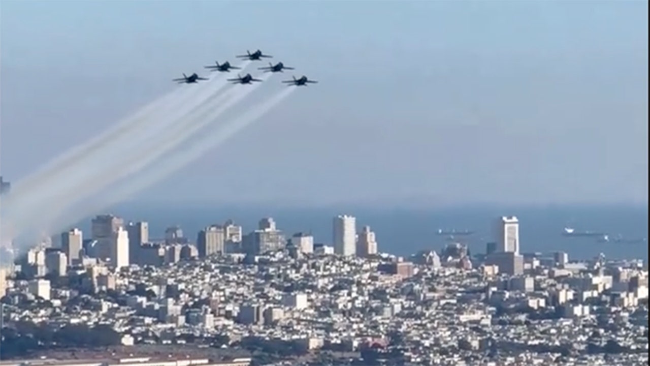 Baloney about Blue Angels, biting in the office, and more. July’s seven craziest stories